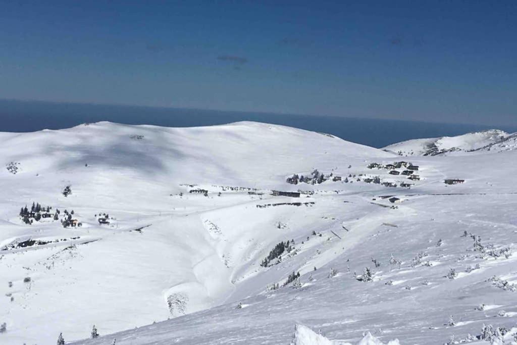 Chalet Ascou-Pailhères Esterno foto